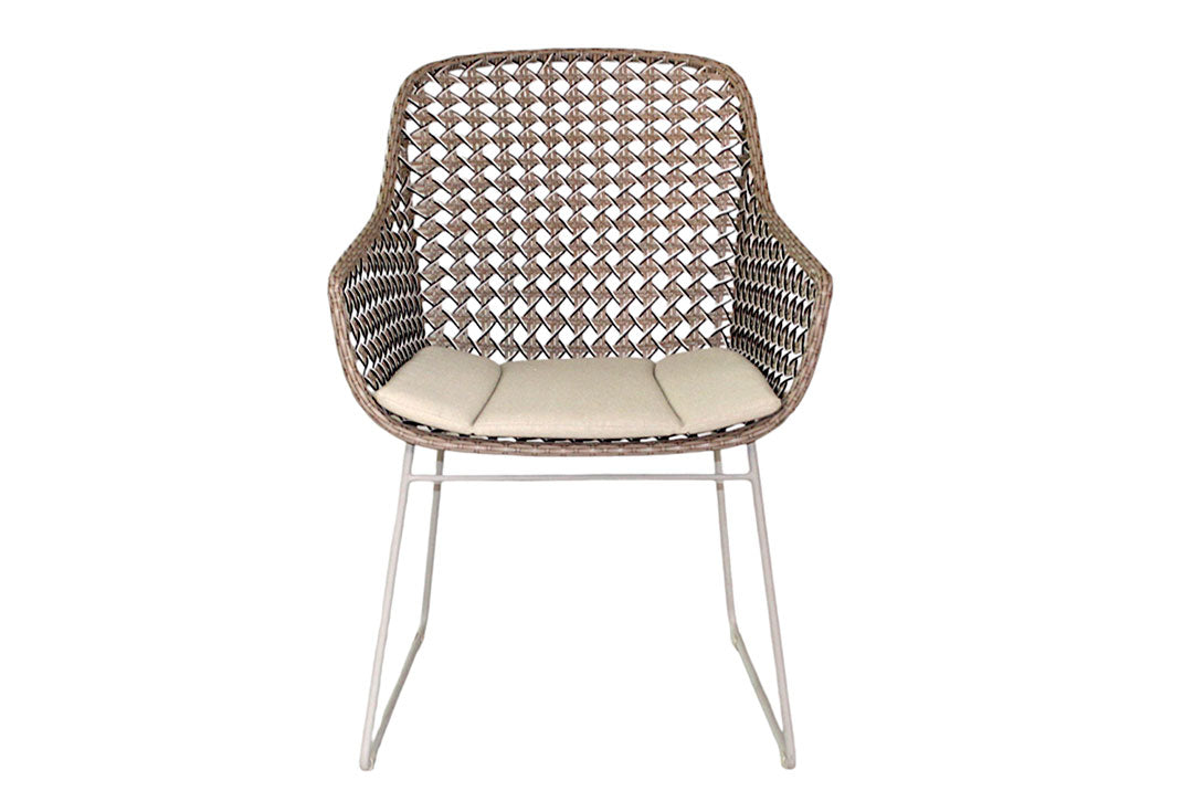 Mollymook Dining Armchair